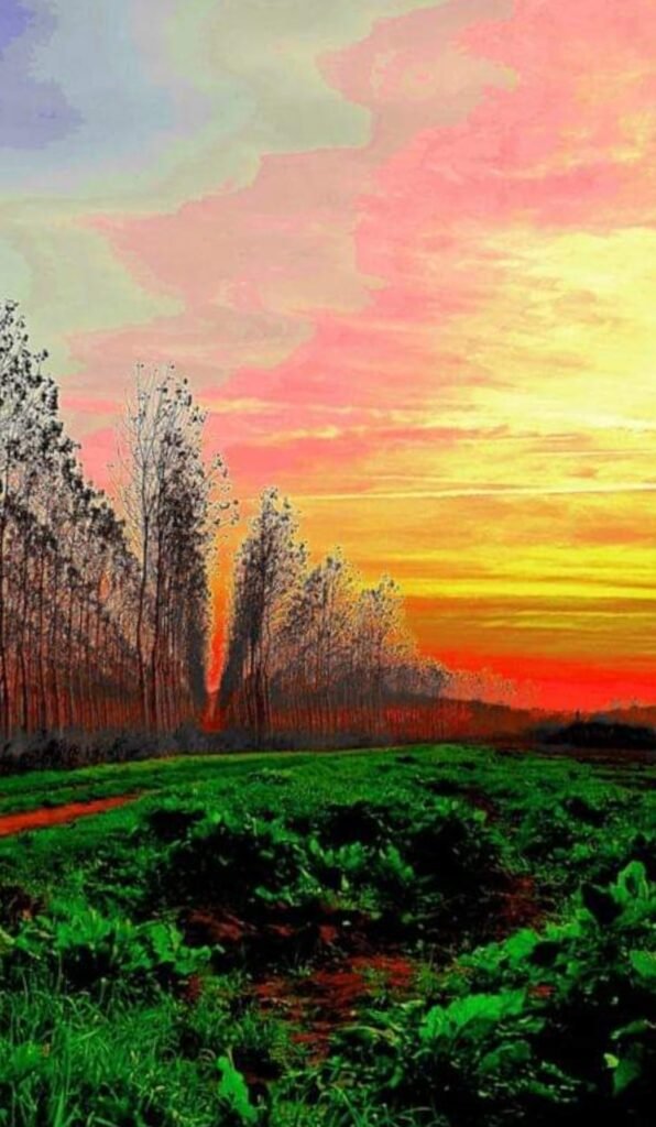 Accentuazioni — Landscape. Fotografia di Monica Petroni.