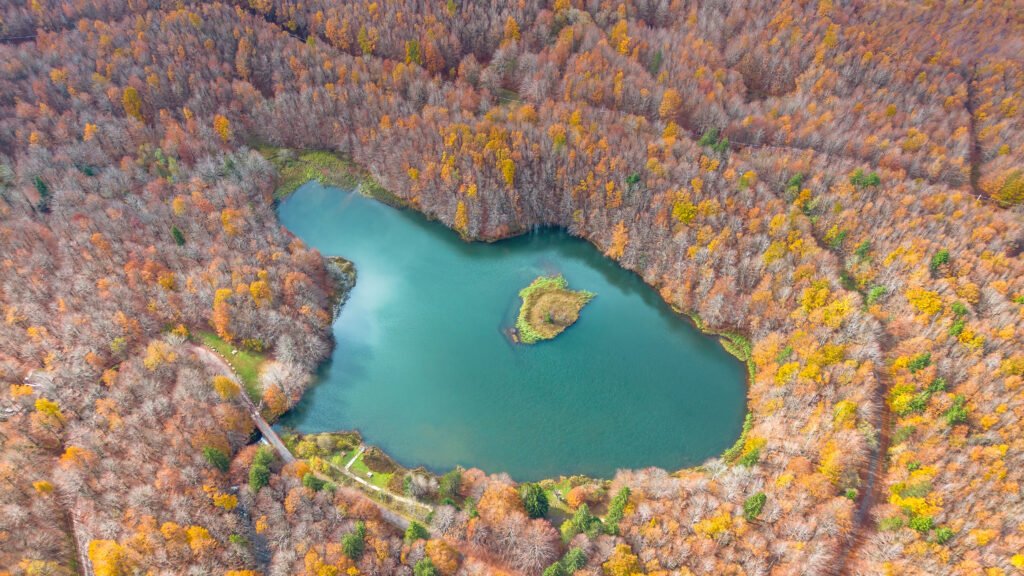 Lago turchese circondato da un bosco autunnale visto dall'alto. Fotografia di Emanuele Caleffi.