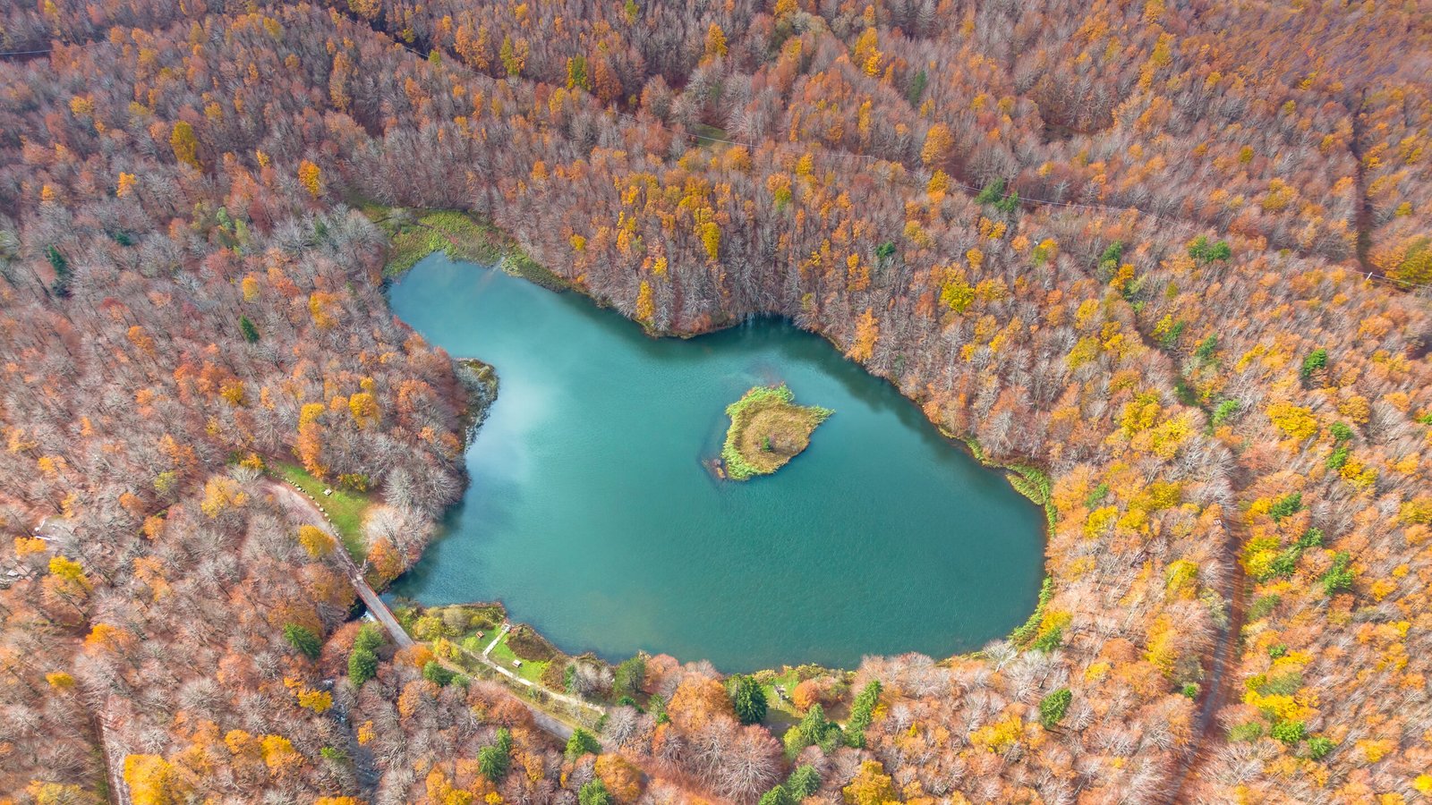 Lago turchese circondato da un bosco autunnale visto dall'alto. Fotografia di Emanuele Caleffi.