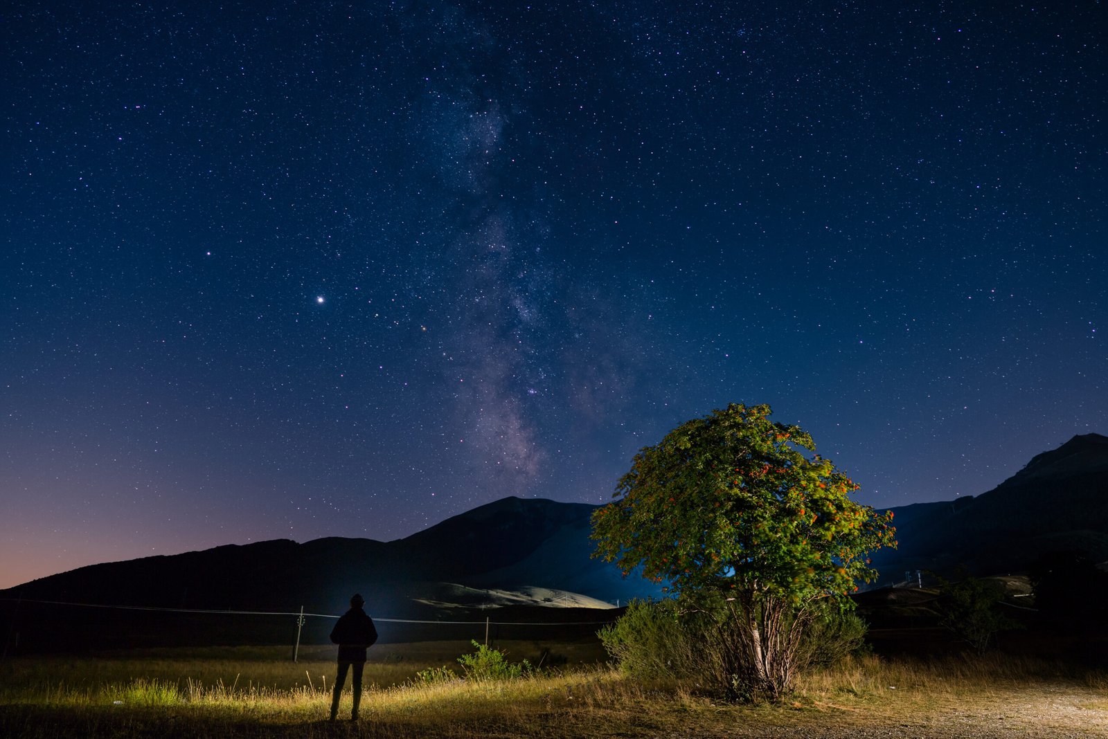 Una figura e un albero sotto il cielo stellato. Fotografia di Armando Piscitelli.